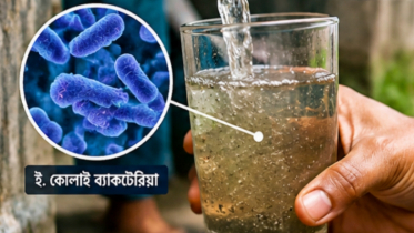 দেশের ৮৫ শতাংশ বাসার পানিতে মলের জীবাণু