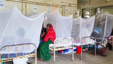 ডেঙ্গুতে একদিনে ৮ জনের মৃত্যু