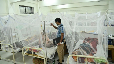 ডেঙ্গুতে একদিনে আরও চারজনের মৃত্যু