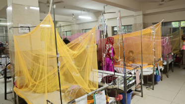 ডেঙ্গুতে একদিনে ১০ জনের মৃত্যু