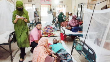 ডেঙ্গুতে আরও তিনজনের মৃত্যু