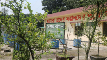 হাসপাতালের ছাদজুড়ে ভেষজ বাগান