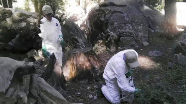 রাশিয়ায় প্লেগে গবেষকের মৃত্যু, আতঙ্কিত না হওয়ার পরামর্শ