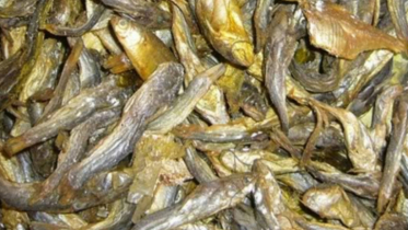 শুঁটকিতে মিলল ৯ ধরনের মাইক্রোপ্লাস্টিক